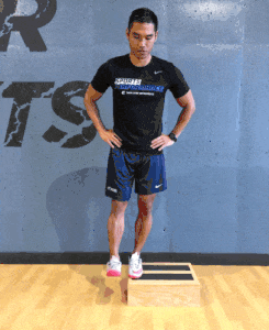 Knee Lateral Stepdown Front Thigh Strength