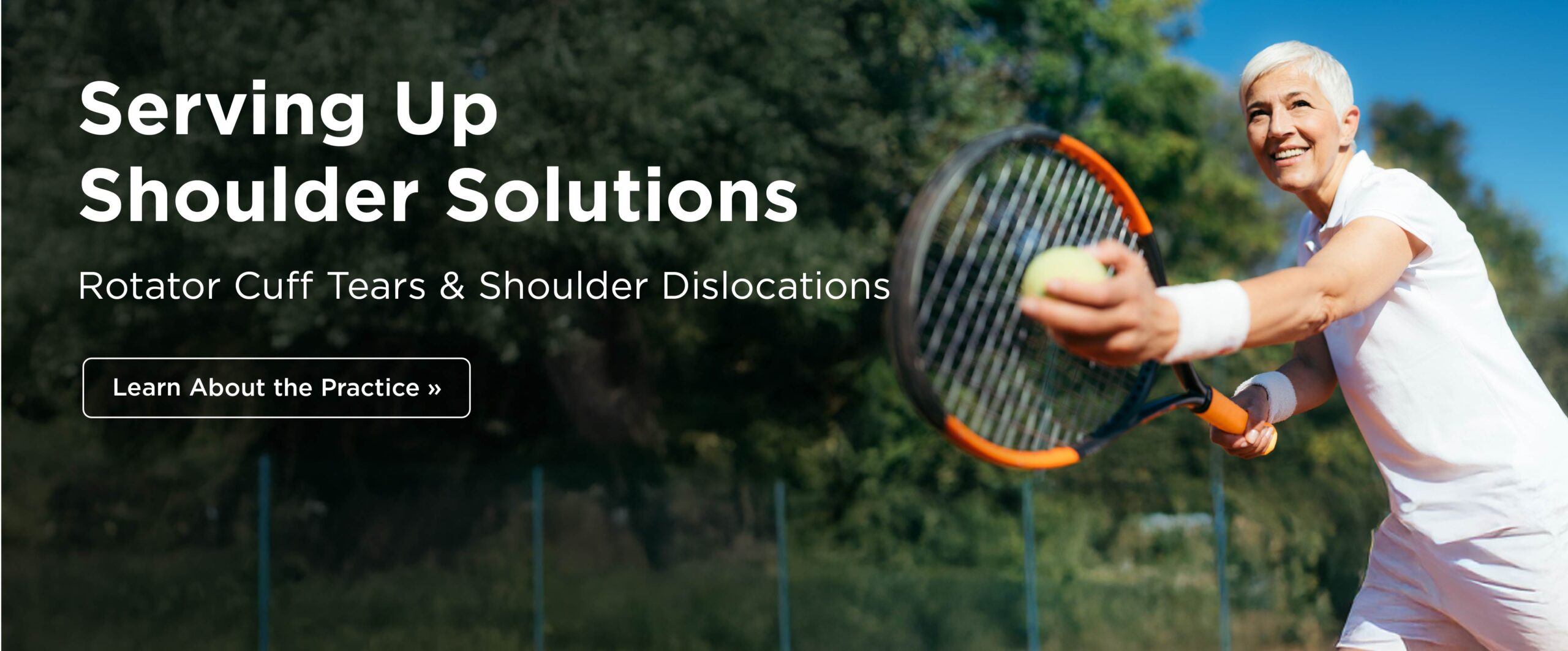 TCO Flikkema WebsiteHeaders