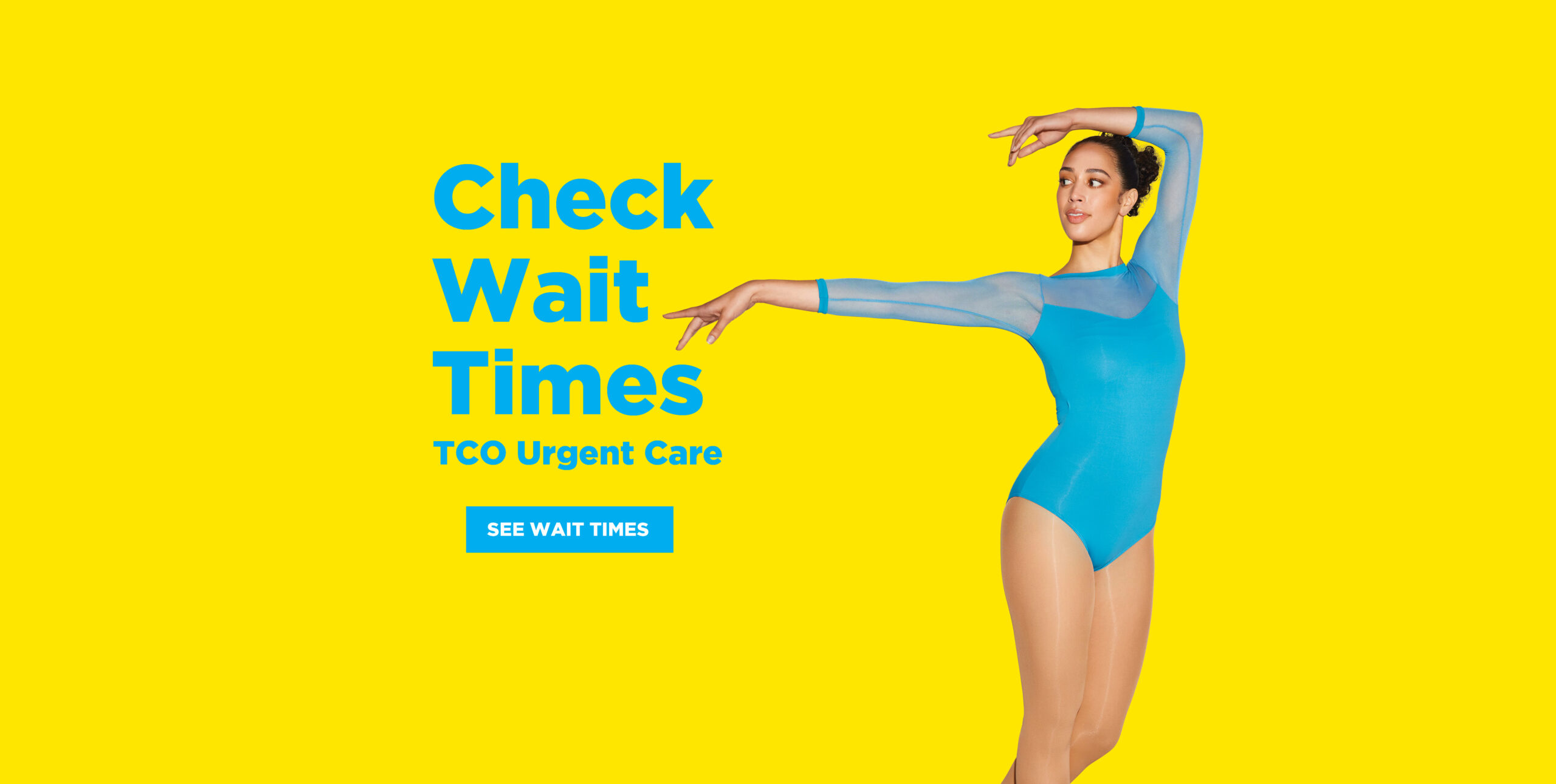 TCO CheckWaitTimes Homepage Header x